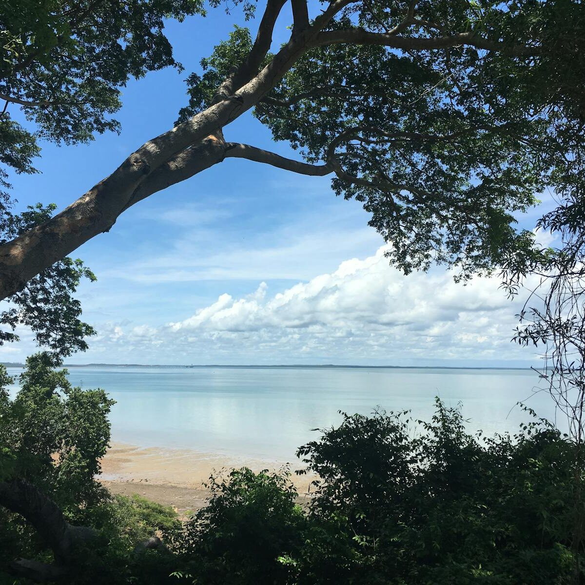 Tranquil beach scene with trees framing a serene ocean view in Darwin, Australia.