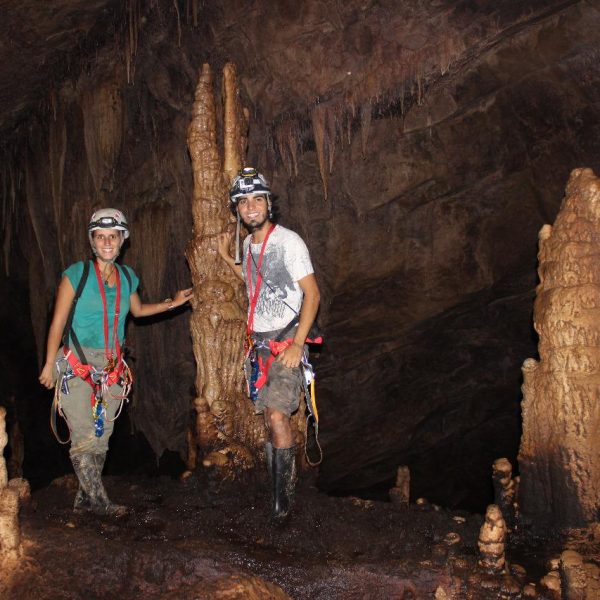 Los tayos cave