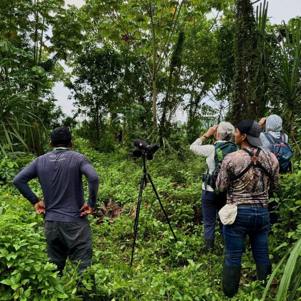 Ecuador Amazon