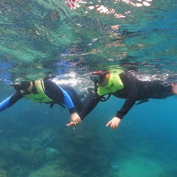 Galapagos Snorking